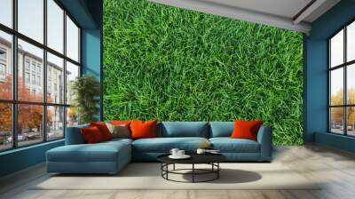 green grass texture Wall mural