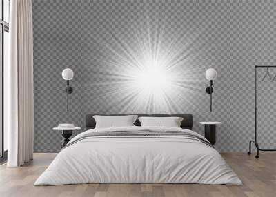 Bright Star. a set of lighting effects, including glare and explosions. Transparent shining sun, bright flash. Vector sparkles. To center the bright flash. Transparent shining sun, bright flash. Wall mural