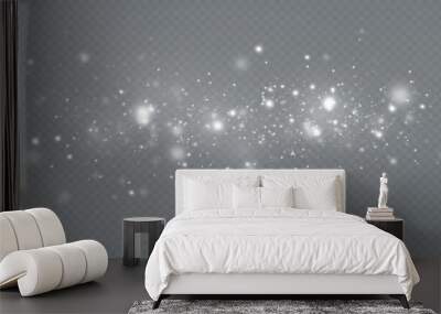 Light effect with glitter particles.Christmas dust.White sparks shine with special light. Wall mural