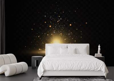 Shining golden stars isolated on black background. Effects, glare, lines, glitter, explosion, golden light. Vector illustration Wall mural