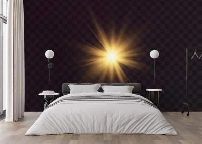 Shining golden stars. Light effects, glare, glitter, explosion, golden light. Vector illustration. Wall mural