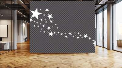 Stars on a white background. Black star shooting with an elegant star.Meteoroid, comet, asteroid, stars. Wall mural