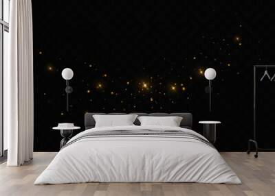 Vector sparkles on a transparent background. Christmas light effect. Sparkling magical dust particles.The dust sparks and golden stars shine with special light.	 Wall mural