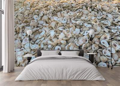 Shells recycling in Florida Wall mural