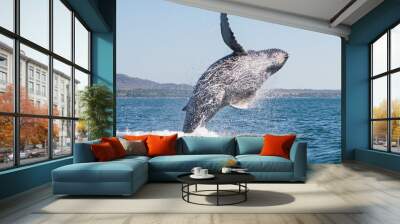 Whale breaching 3 Wall mural