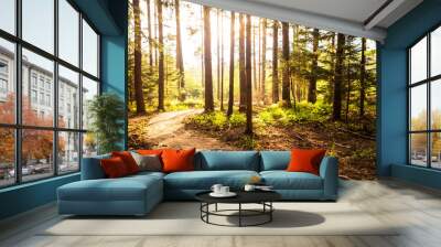 Hiking path and sunset in beadutiful woods Wall mural