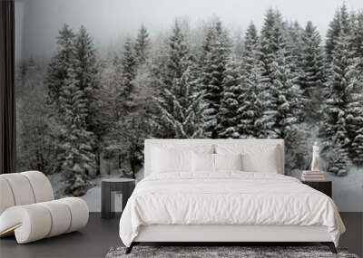 Winter white forest with snow, Christmas background Wall mural