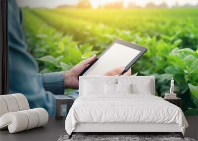 Farmer using digital tablet computer with blank white desktop screen in cultivated soybean field. Examining crop development on tablet. Smart farming and digital agriculture.  Wall mural