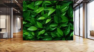 Top view on fresh organic green tea leaves. Healthy green food and vegan background. generative ai
 Wall mural