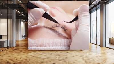 young beautiful girl is getting eyelash extentions closeup Wall mural