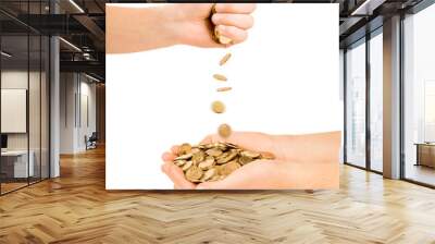 two hand with coins isolated on a white background Wall mural