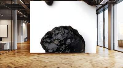 shilajit on white Background, close up of a shilajit isolated on white Background  Wall mural