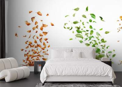 Whirlwind lifting leaves hyper realistic highly detailed isolated on transparent background
 Wall mural