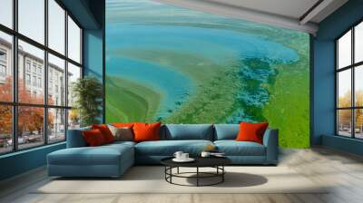 Water pollution by blooming blue-green algae - Cyanobacteria is world environmental problem. Water bodies, rivers and lakes with harmful algal blooms. Ecology concept of polluted nature. Wall mural