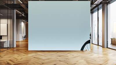 A young woman with long brunette hair sits in a wheelchair and looks thoughtfully at the camera. Wall mural