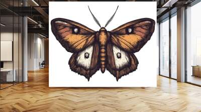 Line art illustration of a Vapourer moth featuring a dark brown body and rusty brown wings created in a vintage drawing or engraving style Wall mural