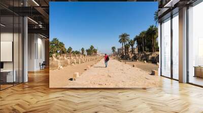 man walking in old egyptian temple of luxor in egypt Wall mural