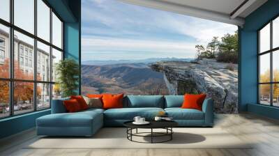 Overlook of a McAfee Knob and Blue Ridge mountains Wall mural