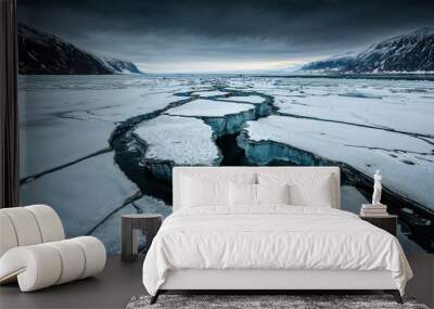 Frozen lake breaking apart showing climate change Wall mural