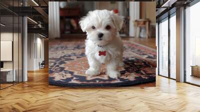 A small white puppy, standing attentively on an ornate rug Wall mural