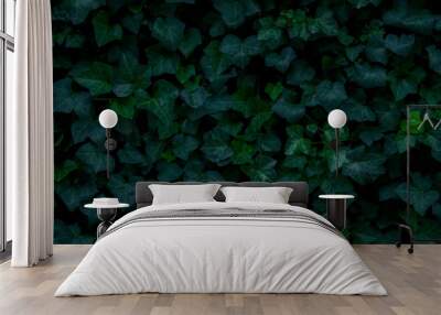 abstract green leaves background Wall mural