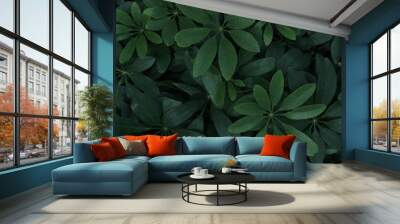 natural low-key leaf background, natural background, garden bush Wall mural