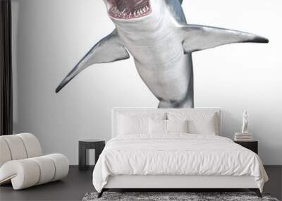 Hammerhead shark isolated 3d render Wall mural