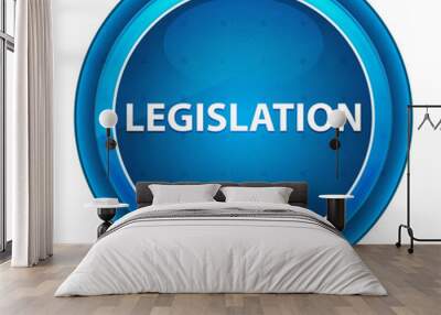 Legislation Eyeball Blue Round Button Wall mural