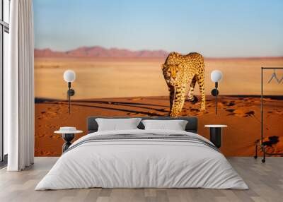 cheetah in dunes Wall mural