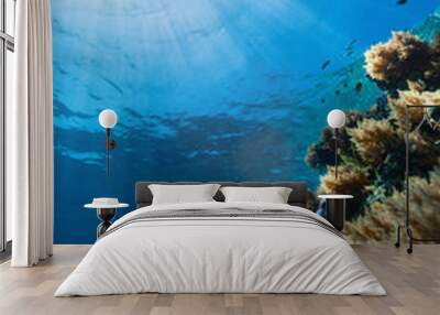 Coral reef underwater Wall mural