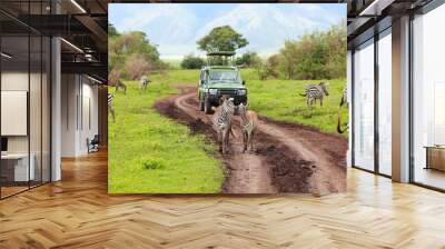 Game drive Wall mural