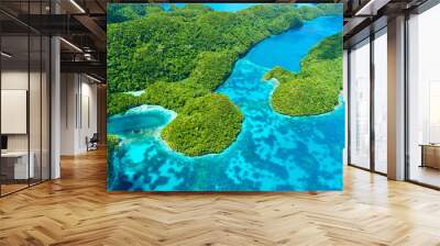 palau islands from above Wall mural