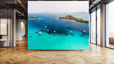 Top view of Tobago cays Wall mural