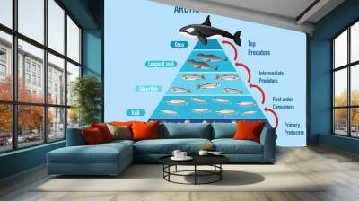 Arctic food chain pyramid Wall mural