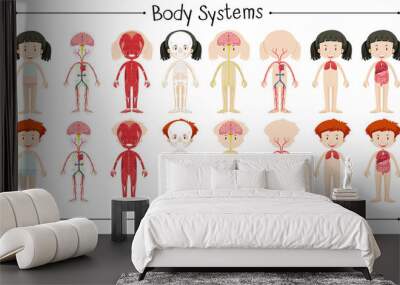 Body system of boy and girl Wall mural