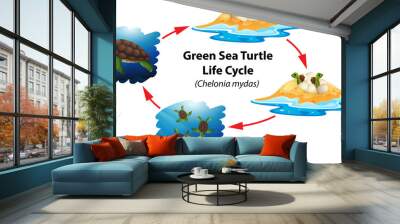 Green sea turtle life cycle Wall mural