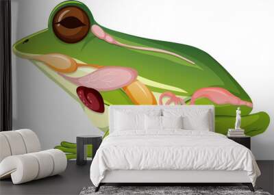 Internal anatomy of frog with organs Wall mural