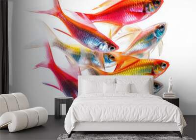 Neon Tetra fish (Paracheirodon innesi) schooling with companions Wall mural