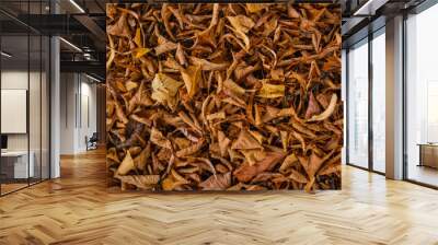 Brown and yellow autumn leaves lying on the ground Wall mural