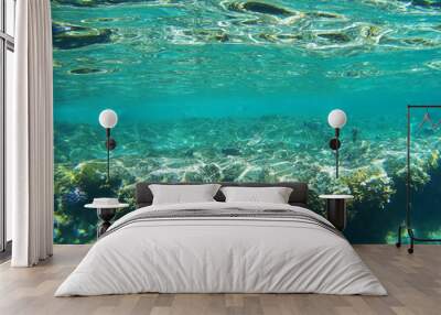 Underwater life of the Red Sea, Sharm El Sheikh, Sinai peninsula, Africa Wall mural