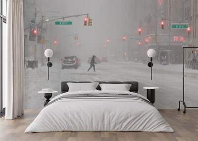 New York City in snow storm blizzard on February 1st 2021 Wall mural