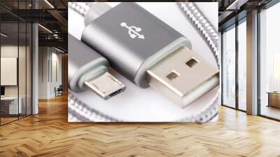 USB Data & Power Cable isolated on White Background. Close up Wall mural