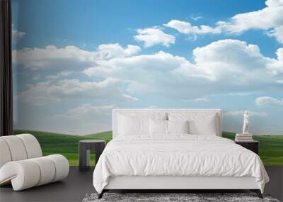 banner hilly landscape with green grass and blue sky  Wall mural