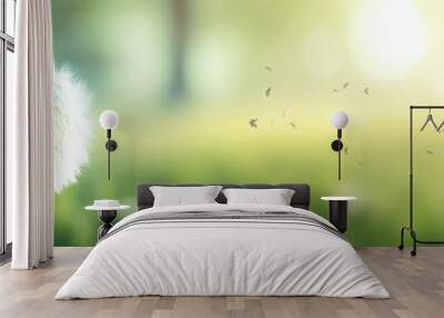 banner with dandelion  flowers on a summer meadow with warm light Wall mural