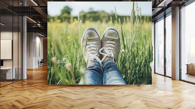 shoes on the meadow Wall mural