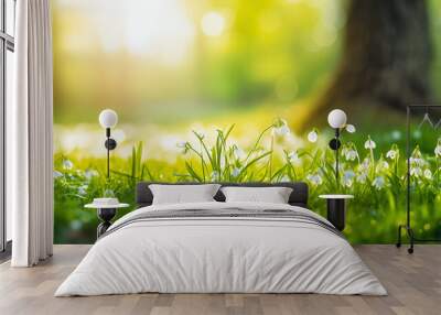 snowdrop spring flowers in the grass Wall mural