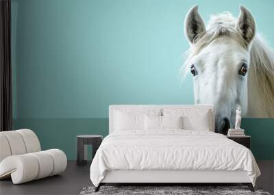 text space for advertising with funny part as portrait of a horse peeking over a colored panal Wall mural