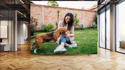 Dog eating delicious food given to him by beautiful young woman outdoors. Wall mural