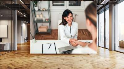 Female doctor and patient meeting and shaking hands. Wall mural