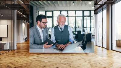 Handsome young and mature business men discussing work. Wall mural